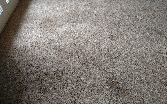 Dirty Carpet — Waynesville, NC — Dry Master Carpet Care