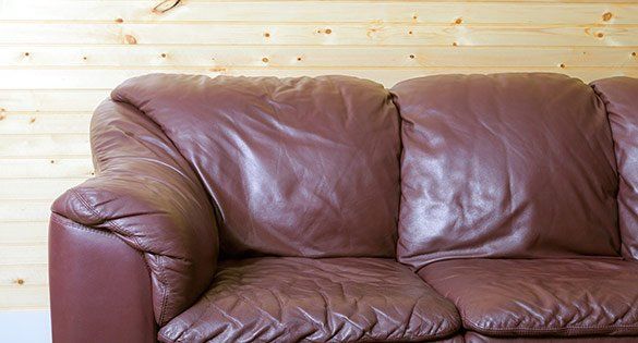 Sofa After Cleaning — Waynesville, NC — Dry Master Carpet Care