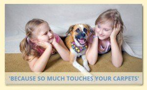 Kids With Their Dog — Waynesville, NC — Dry Master Carpet Care