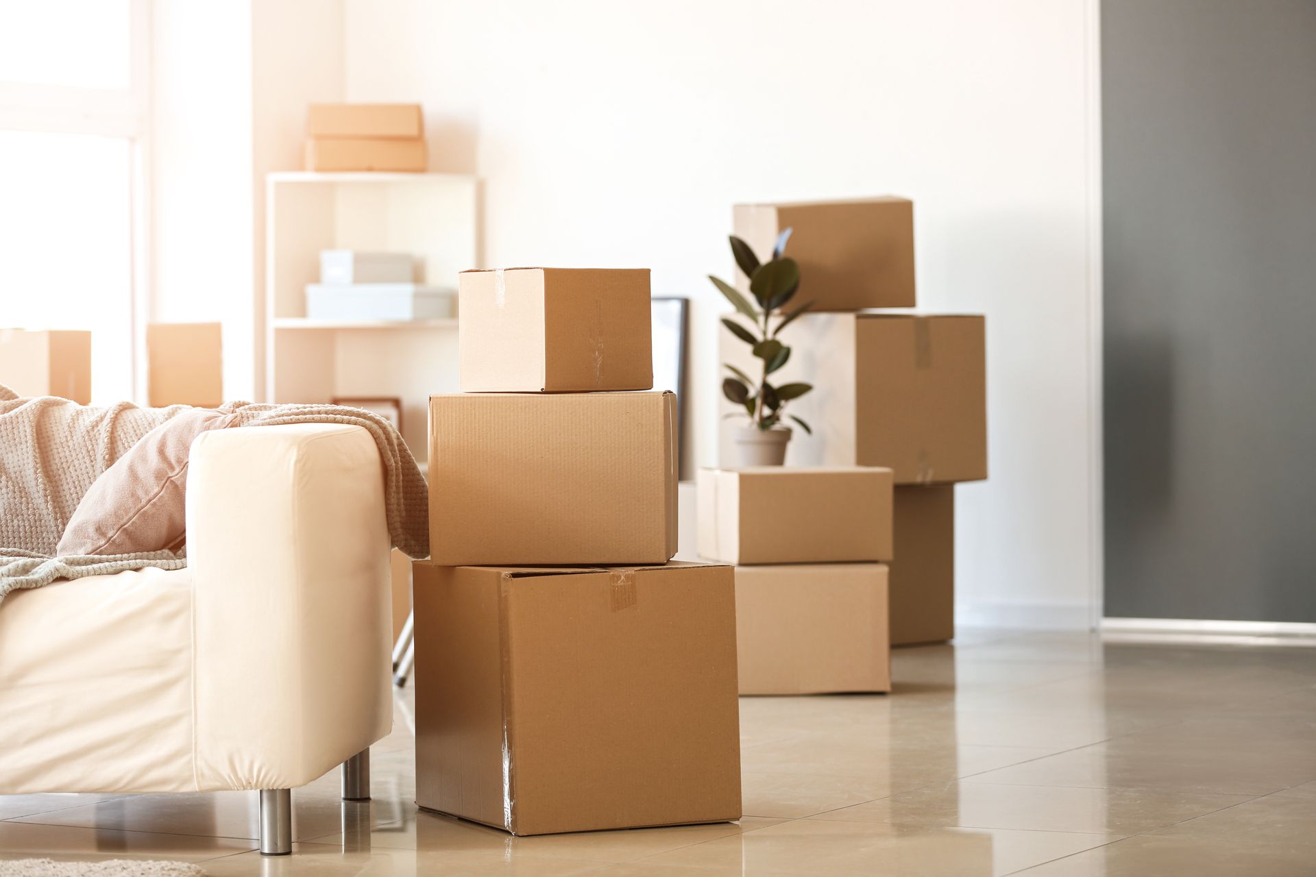 A living room with a beige sofa next to several stacked cardboard moving boxes and a small indoor plant.