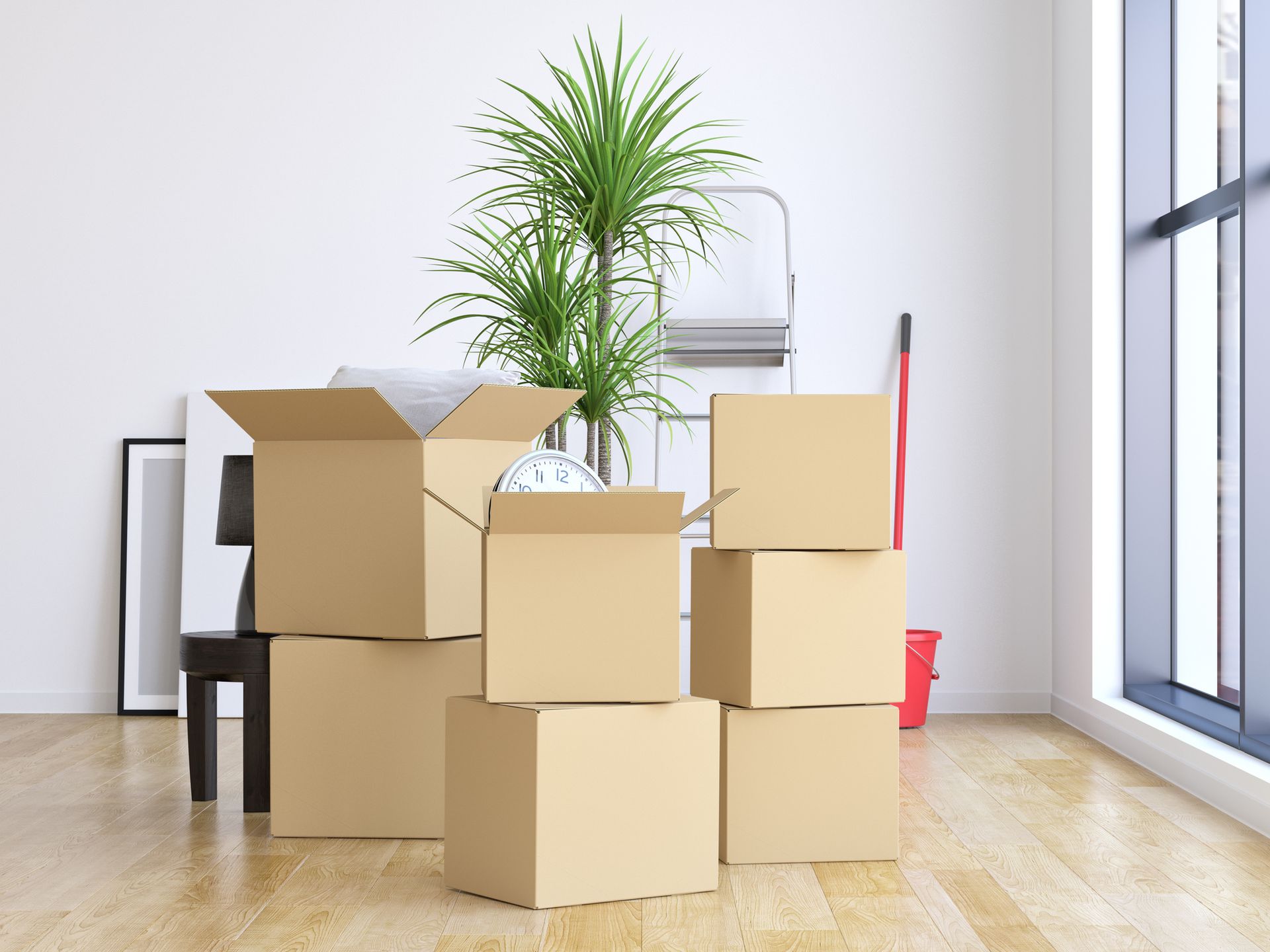 Cardboard boxes stacked in a room; a plant, small table, and a window are also visible.