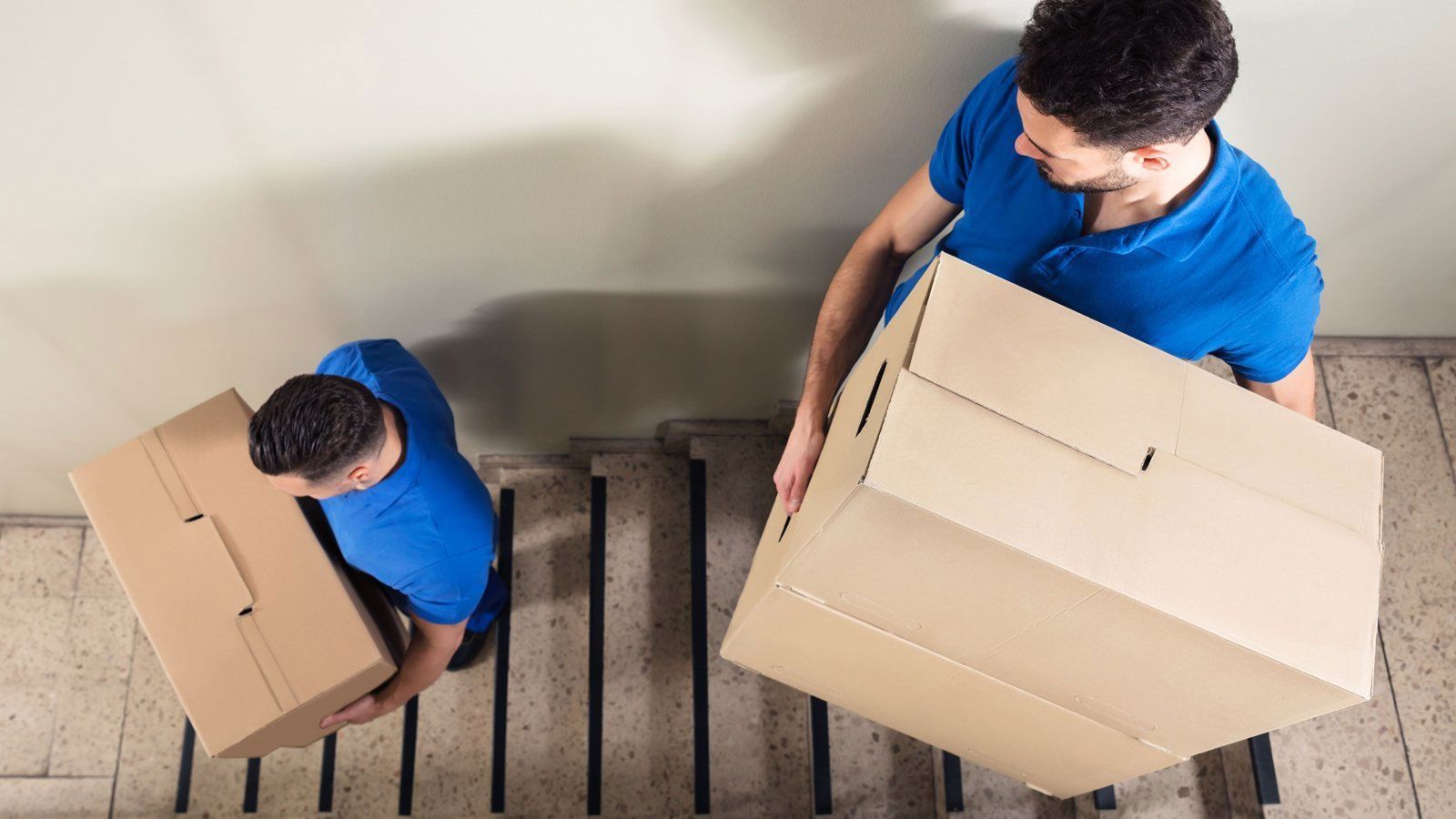 Two people in blue shirts carrying cardboard boxes up stairs.
