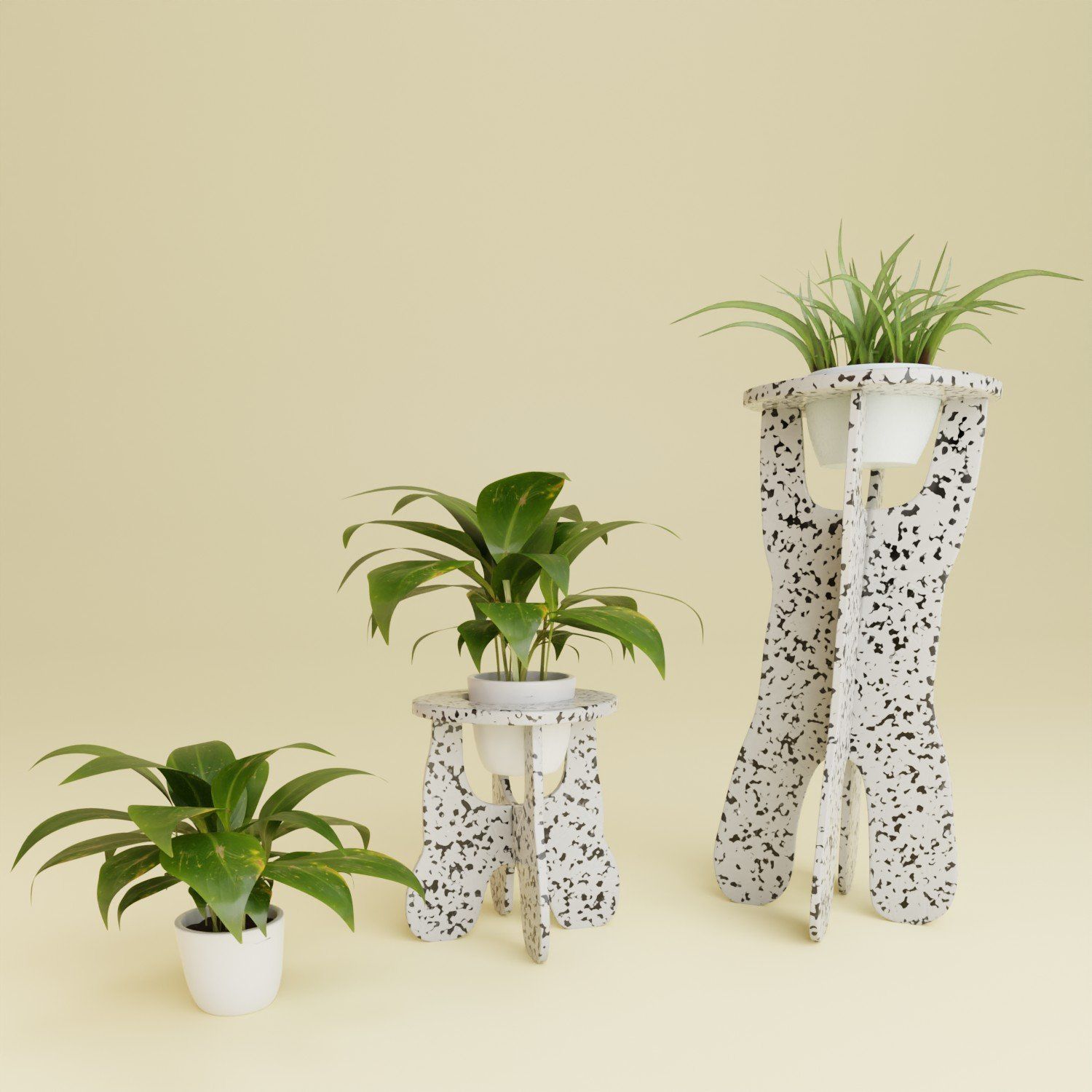 Three potted plants are sitting on white and black stands
