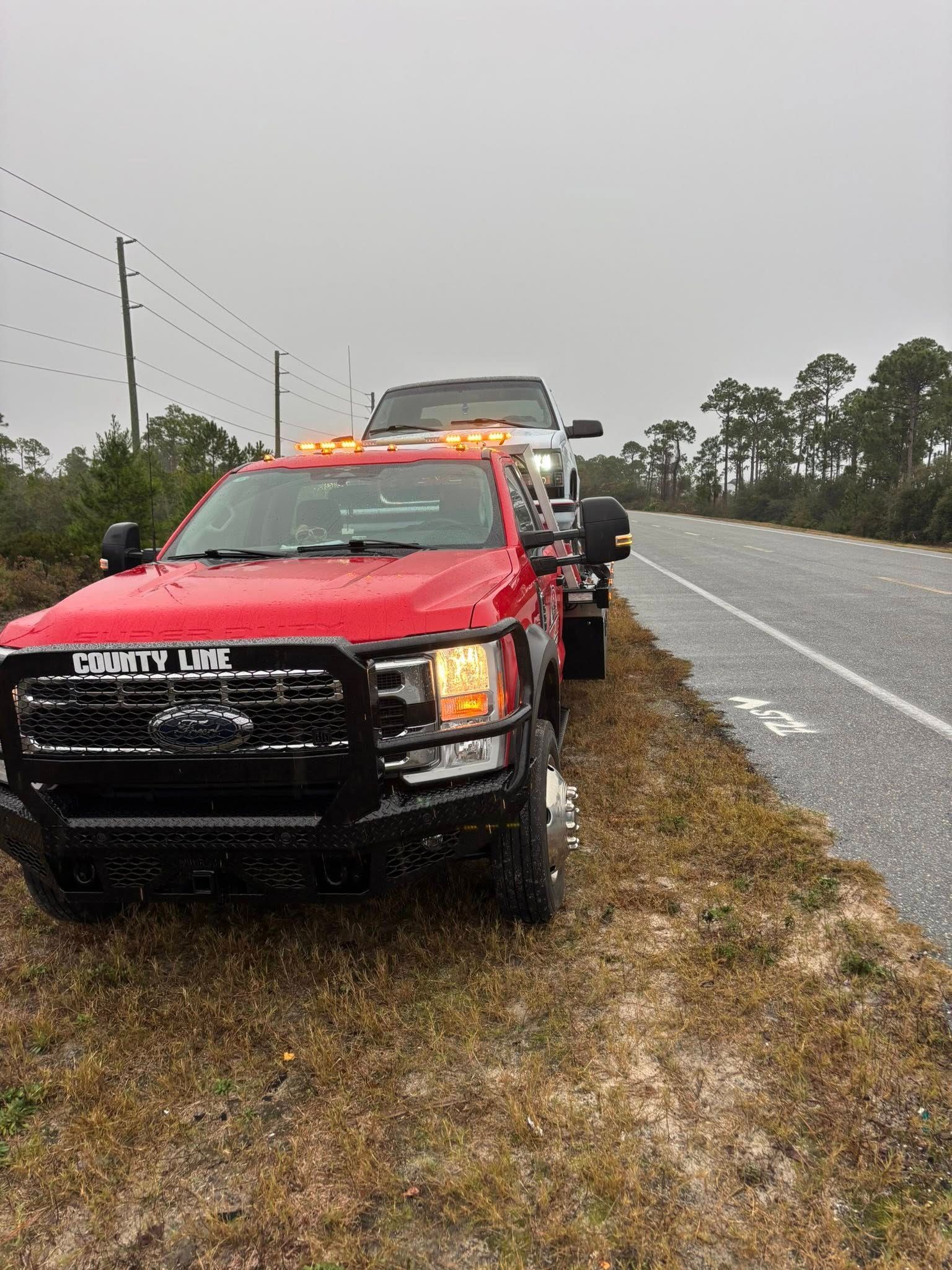 Red tow truck with a vehicle on its flatbed, parked on roadside. Gray sky, tall grass.