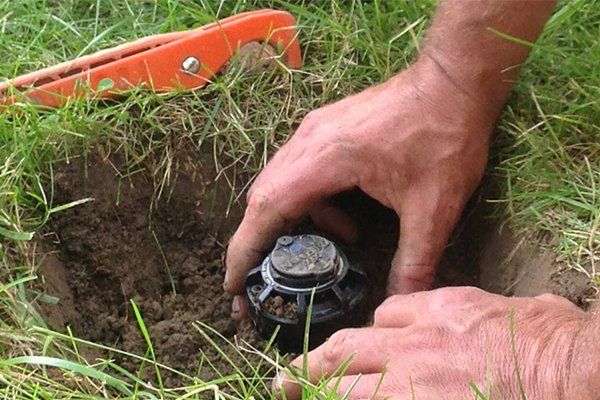 Hands installing a sprinkler head in a hole dug in green grass, with an orange tool nearby.
