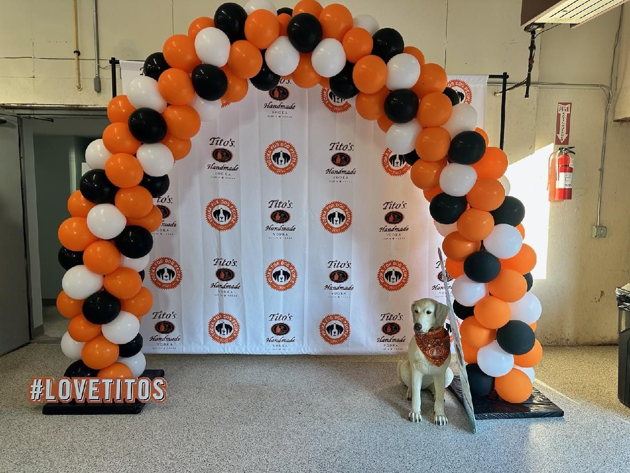 Total Length: 20ft
Style: Sprial
Colors: orange, black and white.