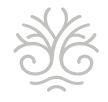 kinesiologie alkmaar logo levensboom