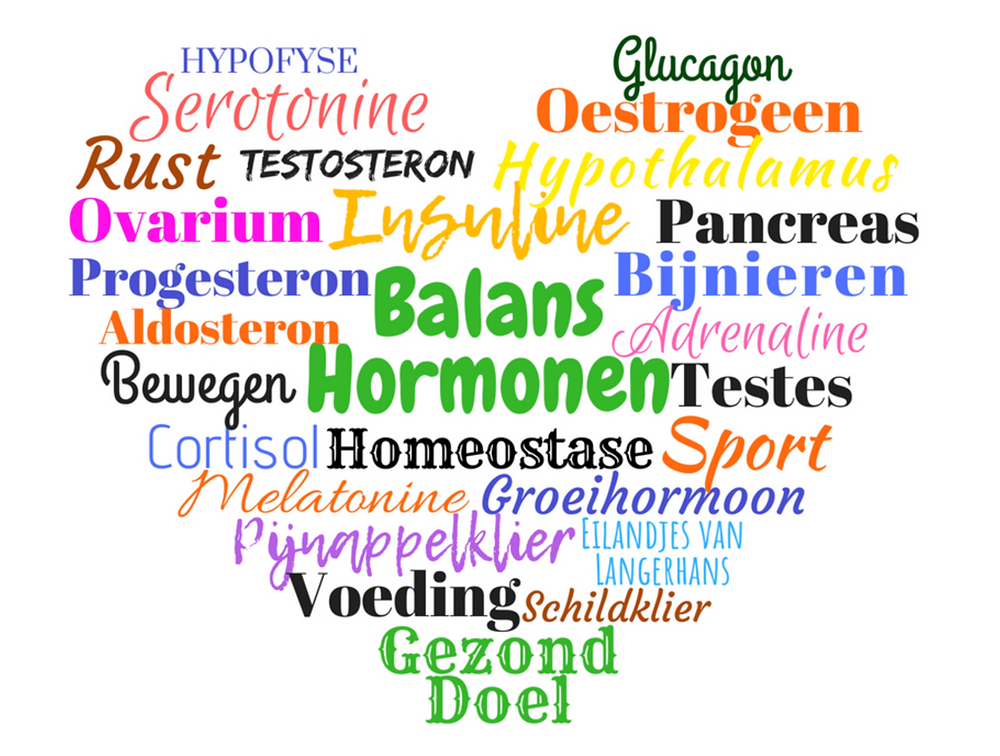 Overgangsklachten? Hormonale disbalans