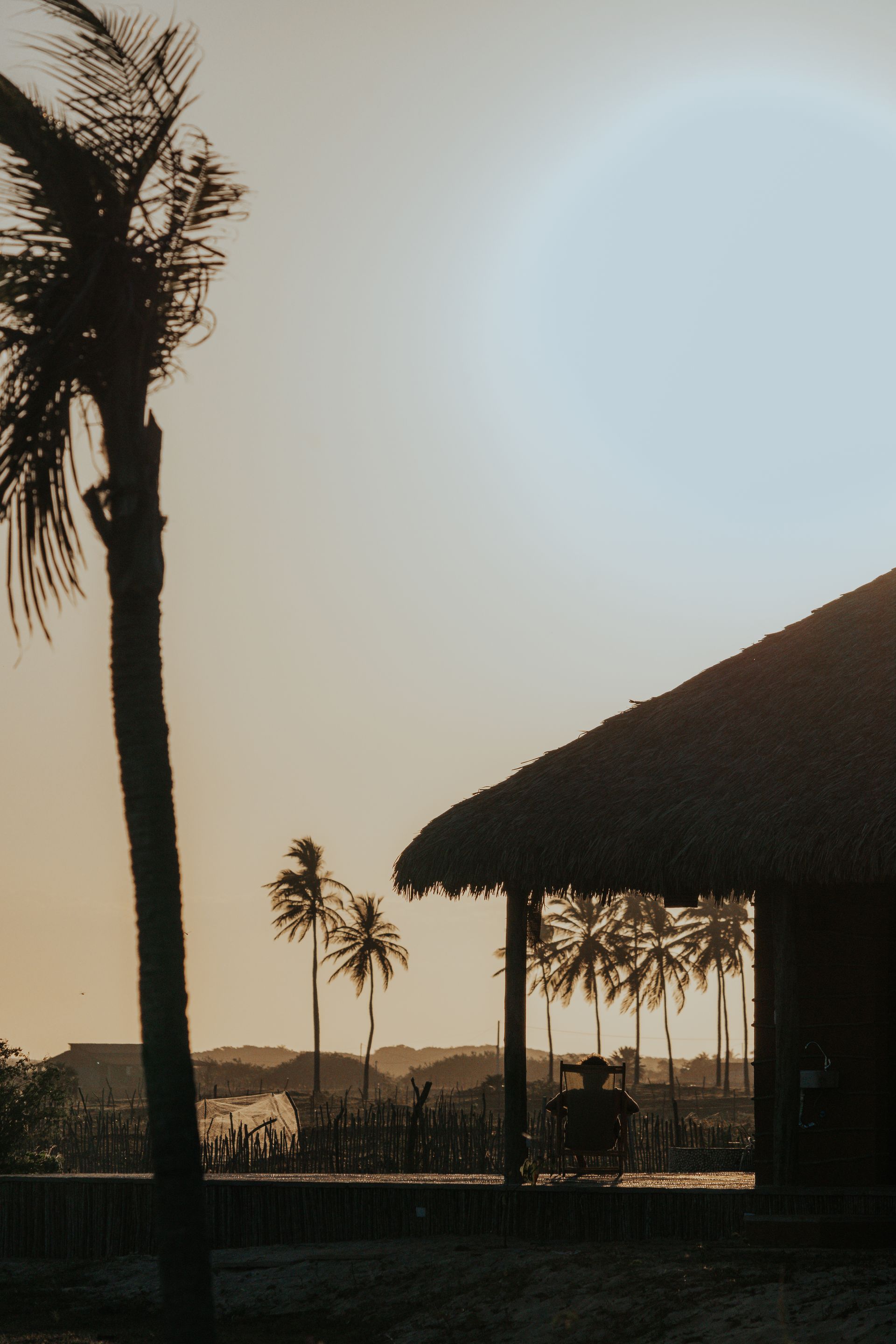 Silhueta de uma palmeira e uma cabana com telhado de palha ao pôr do sol, com palmeiras ao fundo.