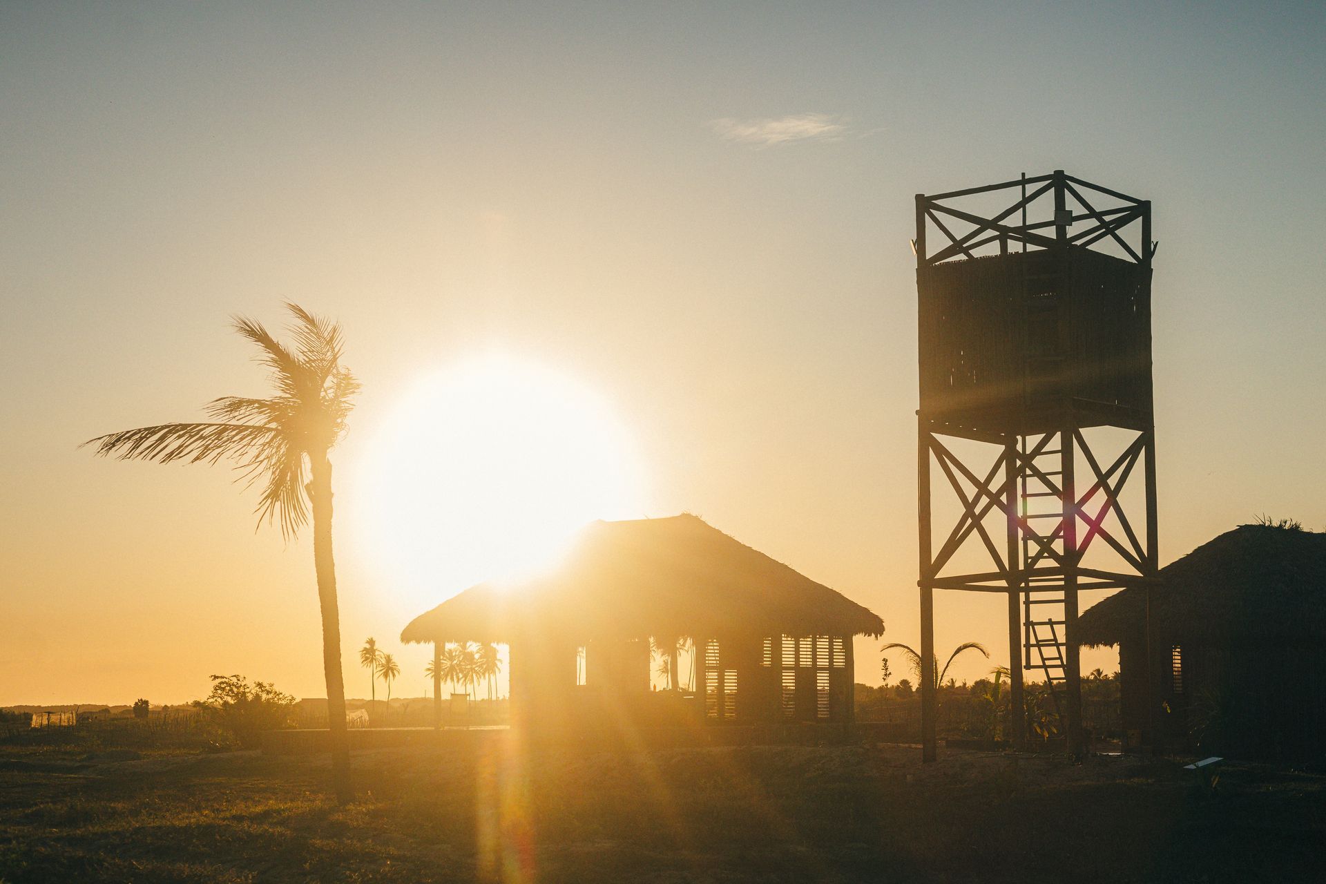 O pôr do sol desenha silhuetas de uma palmeira, uma torre de água e cabanas em um campo.