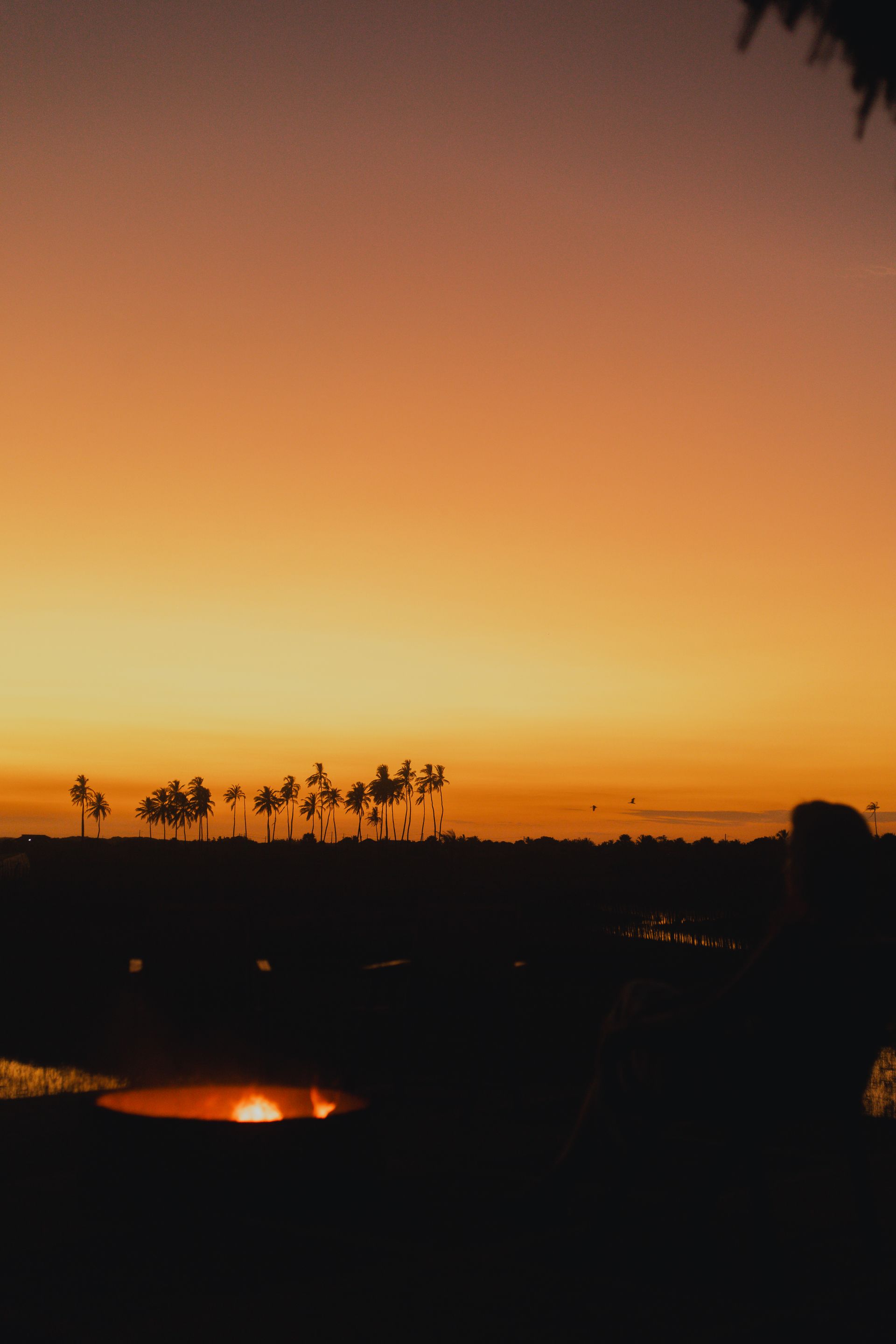 Pôr do sol sobre silhuetas de árvores e água, com tons de laranja e amarelo no céu.