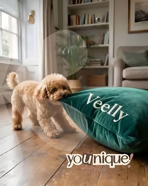 Un cagnolino soffice tira un cuscino verde in un luminoso soggiorno, con la scritta 
