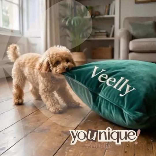 Un cagnolino riccioluto trascina dentro casa un cuscino verde con la scritta 