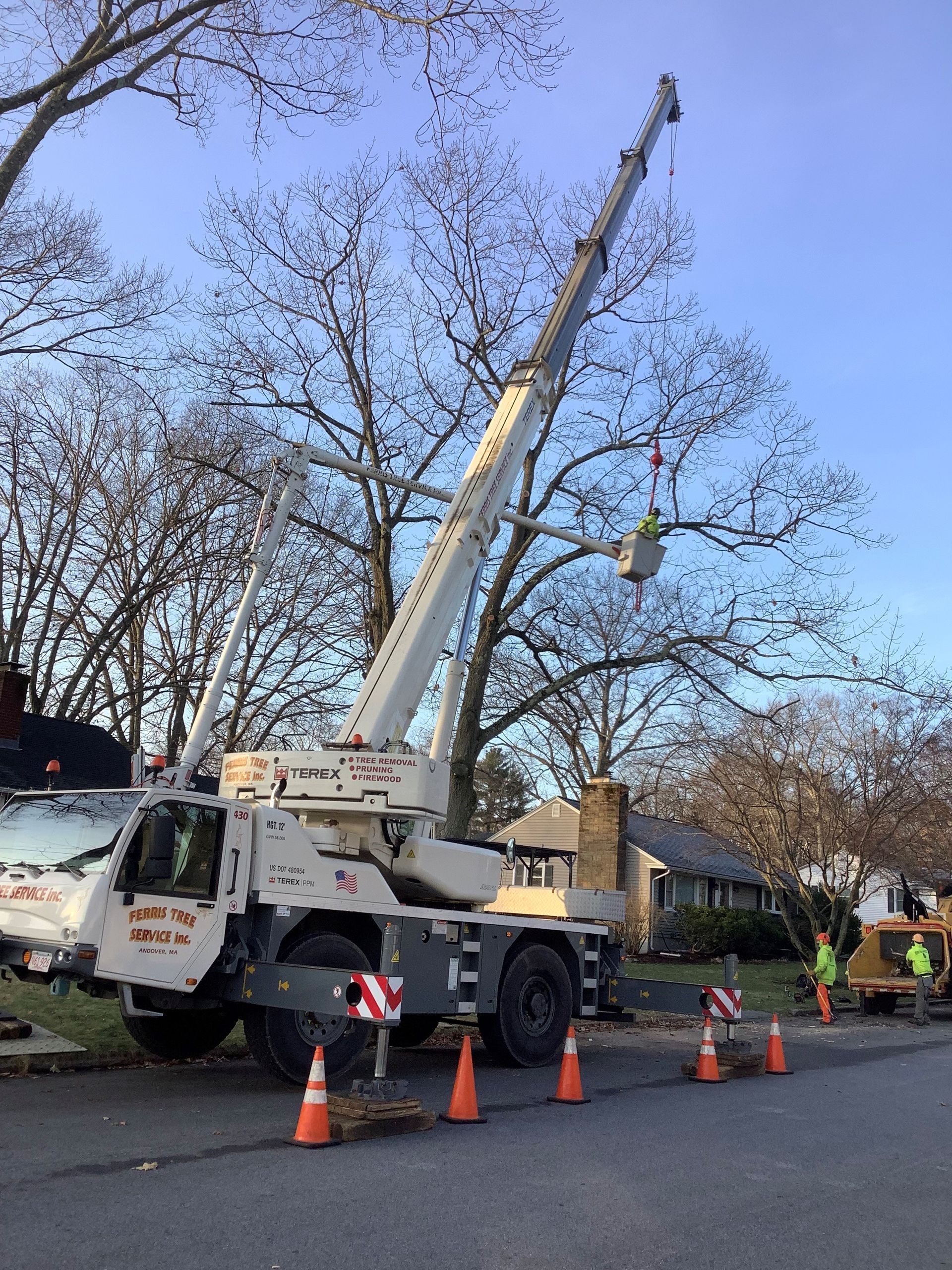 A chainsaw is sitting on top of a tree stump.