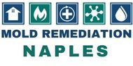 A logo for mold remediation in naples with icons
