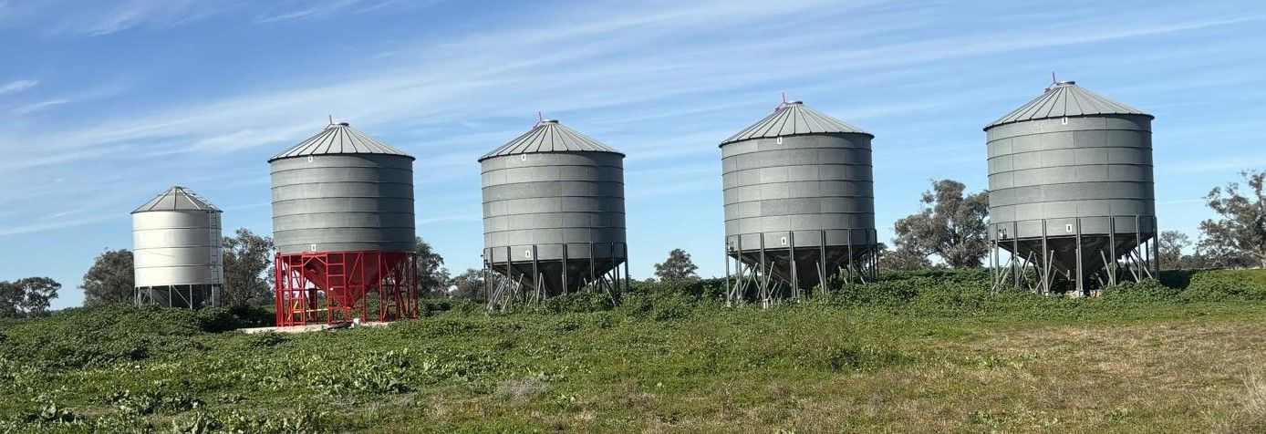 A Row of Silos Are Lined Up in a Grassy Field — Welders In Gilgandra, NSW