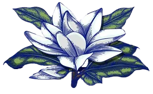 A blue and white flower with green leaves on a white background