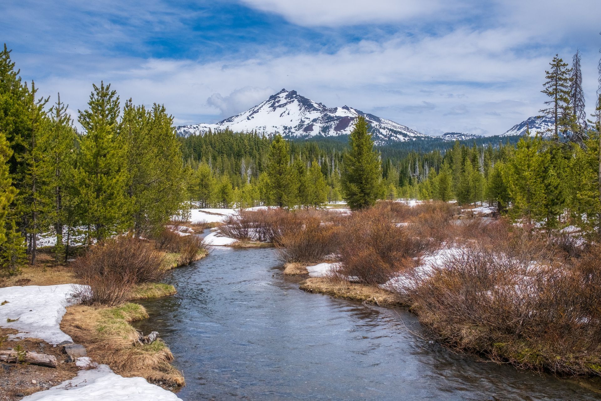 A river running through a forest with a mountain in the background.