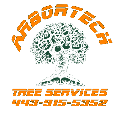 Arbortech Tree Services LLC