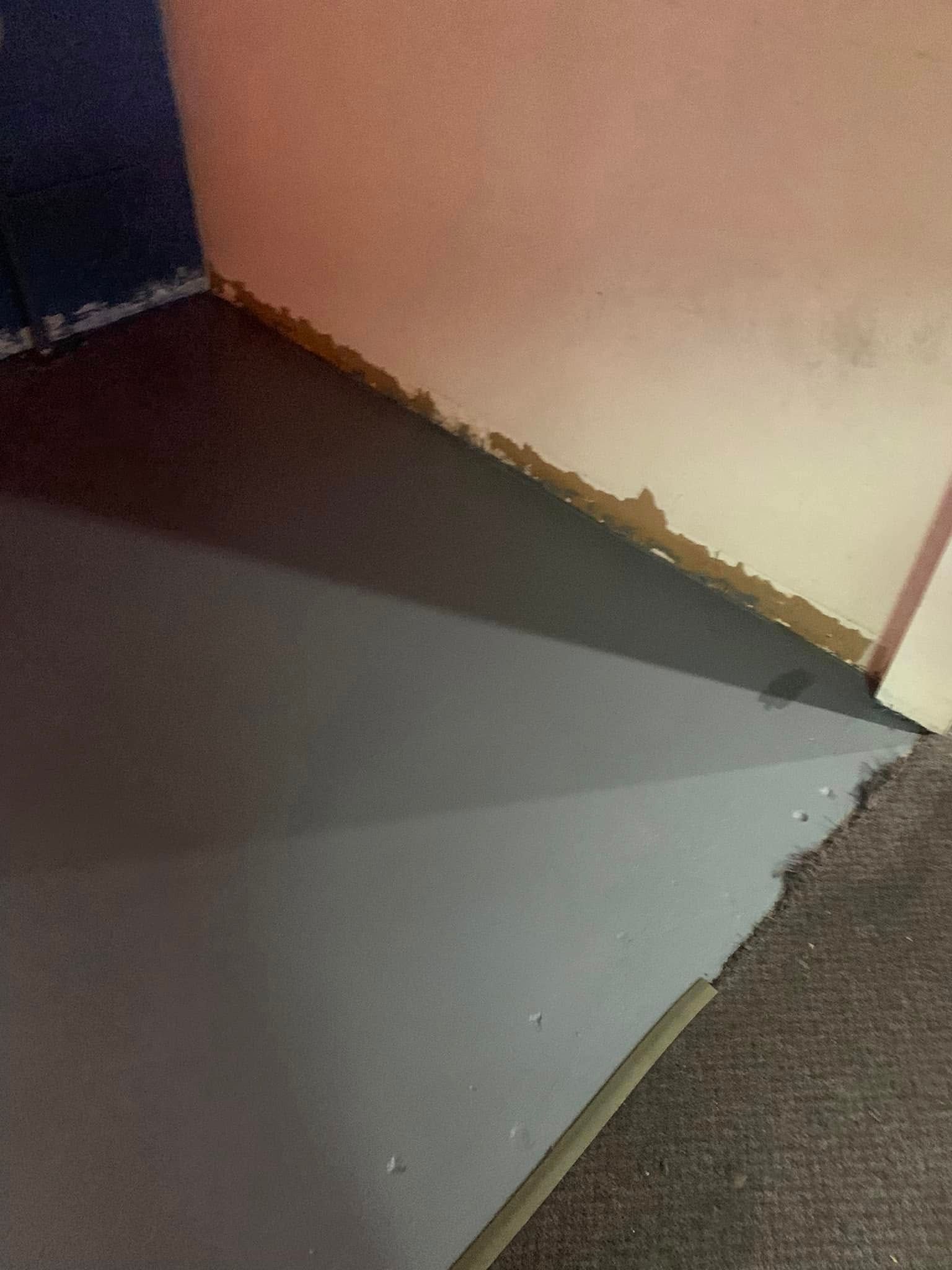 Corner of a room with a dark gray wall, light ceiling, and carpeted floor.