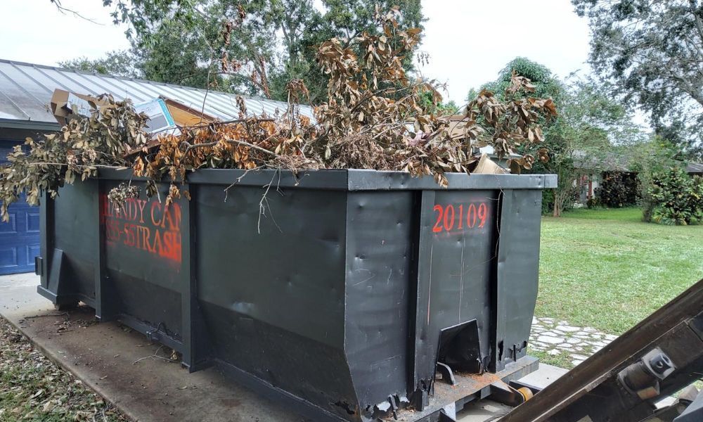 What To Know About Renting a Dumpster for Storm Clean-Up