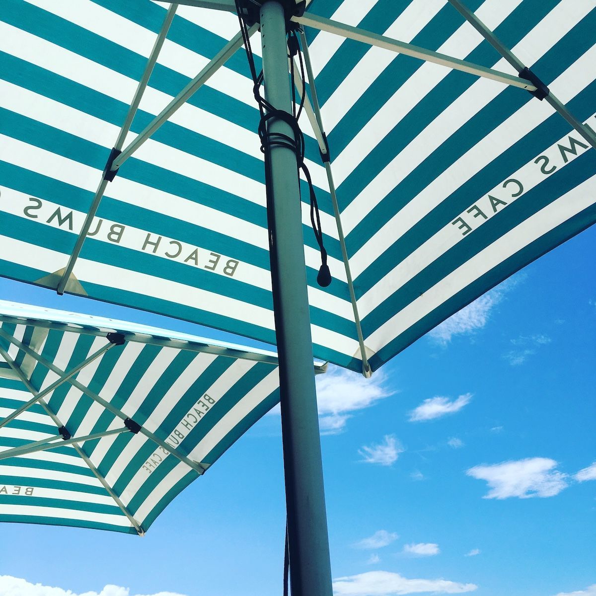 A Plate Of Food With Avocado And Smoked Salmon On A Beach — Beach Bums Cafe In Forster, NSW