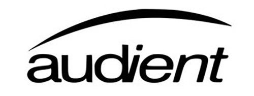 A black and white logo for audient on a white background.