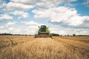 Green combine harvesting wheat in a sunny field under a cloudy sky.