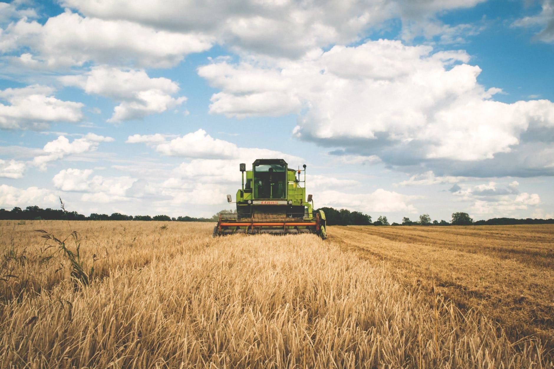 Green combine harvesting wheat in a sunny field under a cloudy sky.