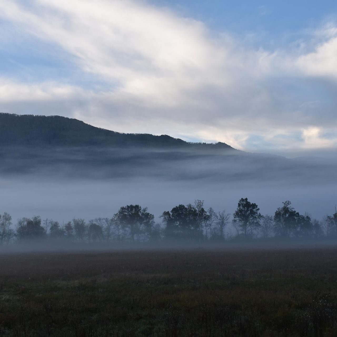 Foggy mountain landscape with silhouetted trees and cloudy sky.
