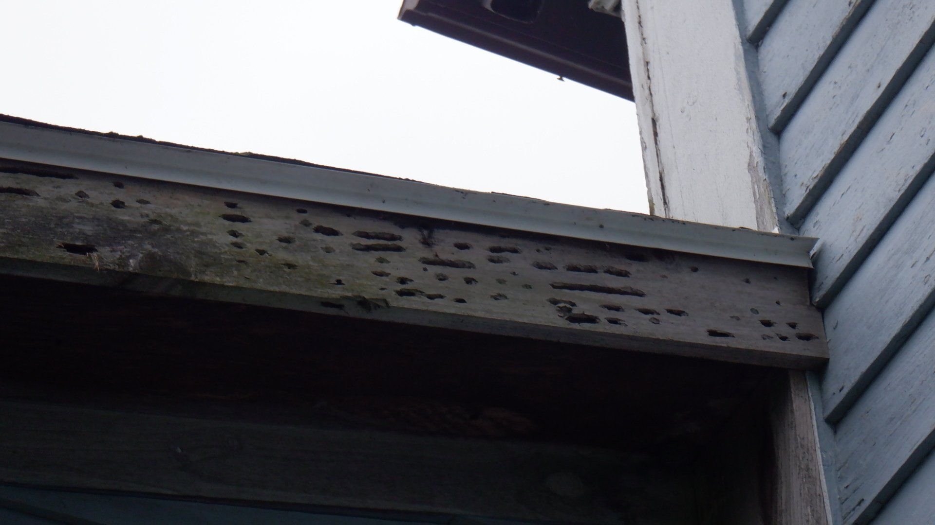 Rotting Roof Wood — Albany, NY — Discovery Home Inspection