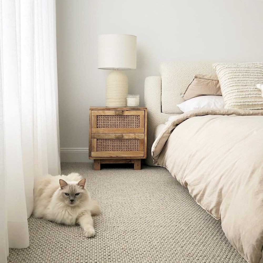 A Cat is Laying on the Floor in a Bedroom Next to a Bed — Evolution Building Group Dapto, NSW