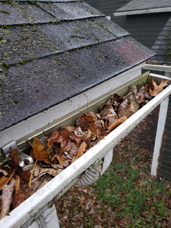 Before Gutter Cleaning - Canton, OH - Big T's Power Clean