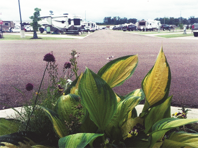 A rv park with flowers and leaves in the foreground