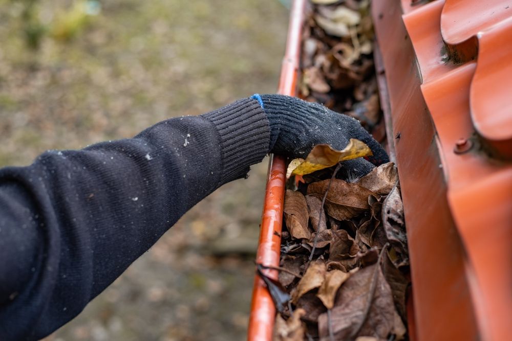 Gloved hand clearing leaves from a rain gutter beside a red tiled roof