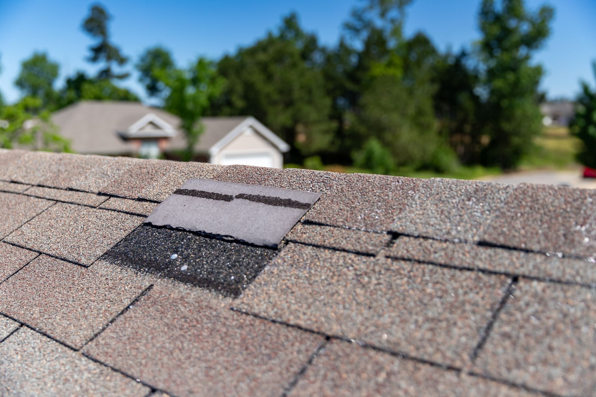 Close-up of a damaged asphalt shingle roof. Missing shingles reveal the underlayment.