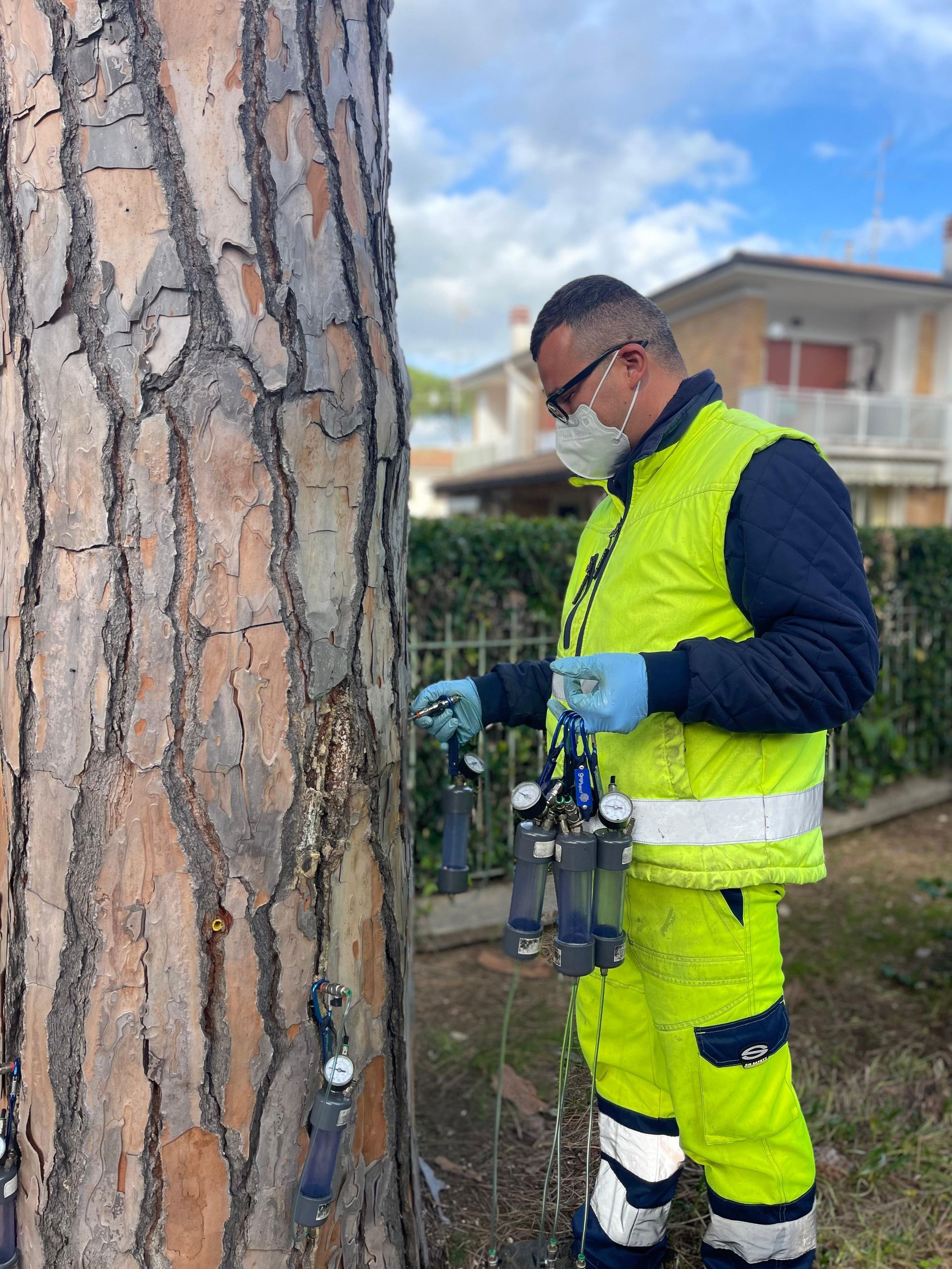 endoterapia cocciniglia