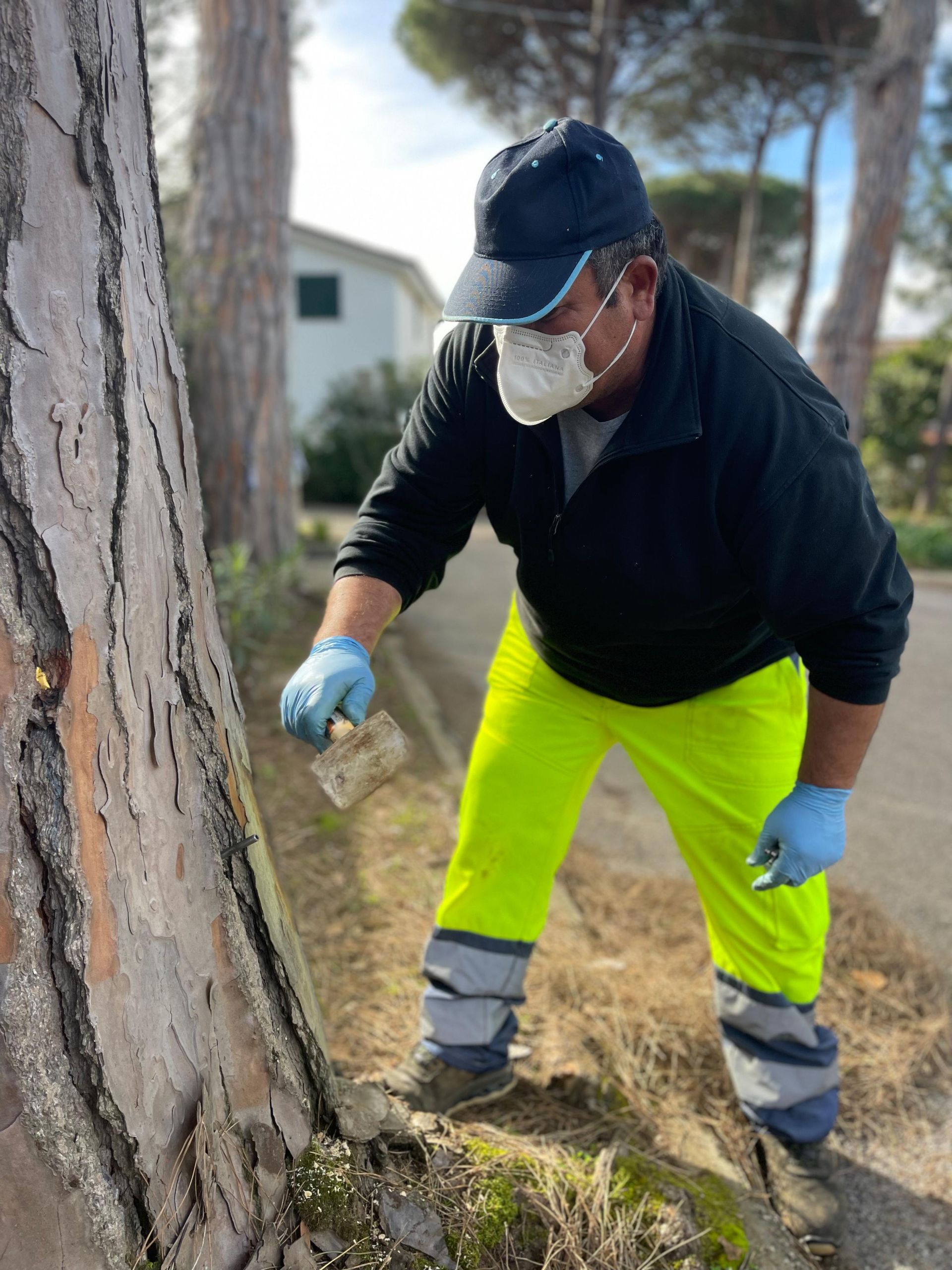 endoterapia cocciniglia