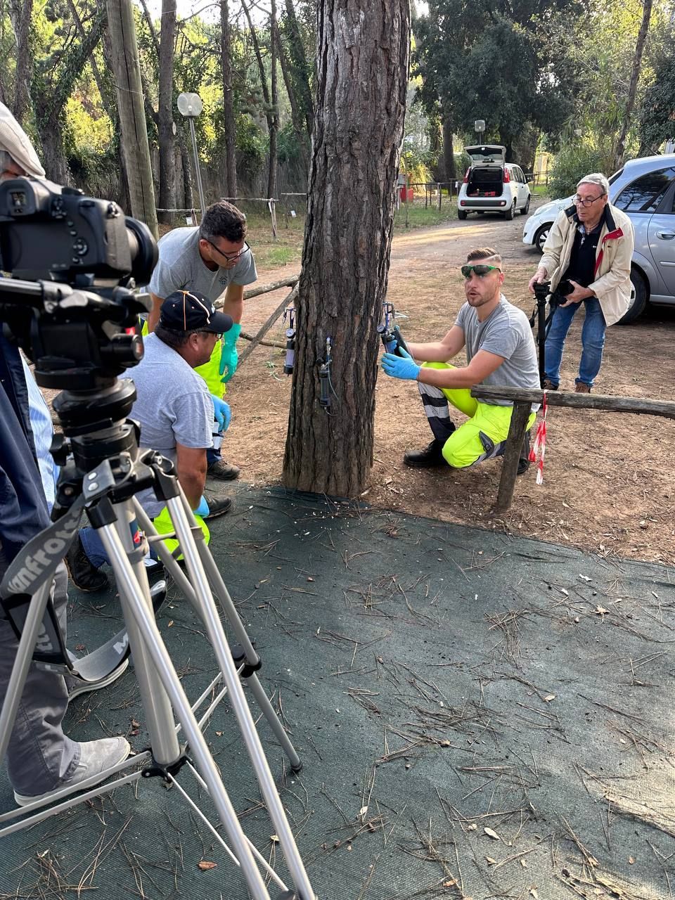 endoterapia cocciniglia