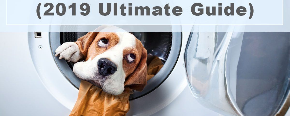 washing machine dog