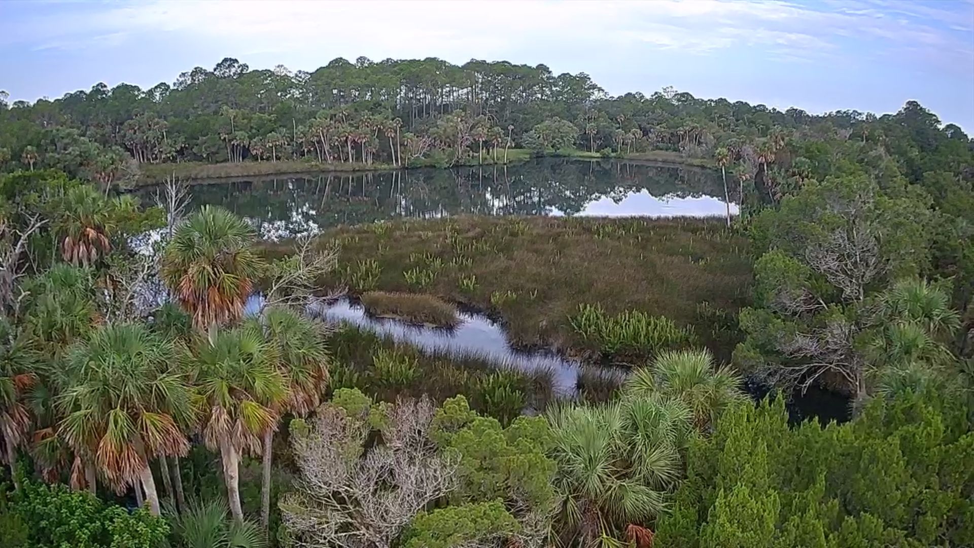An aerial view of a swamp surrounded by trees and a river.