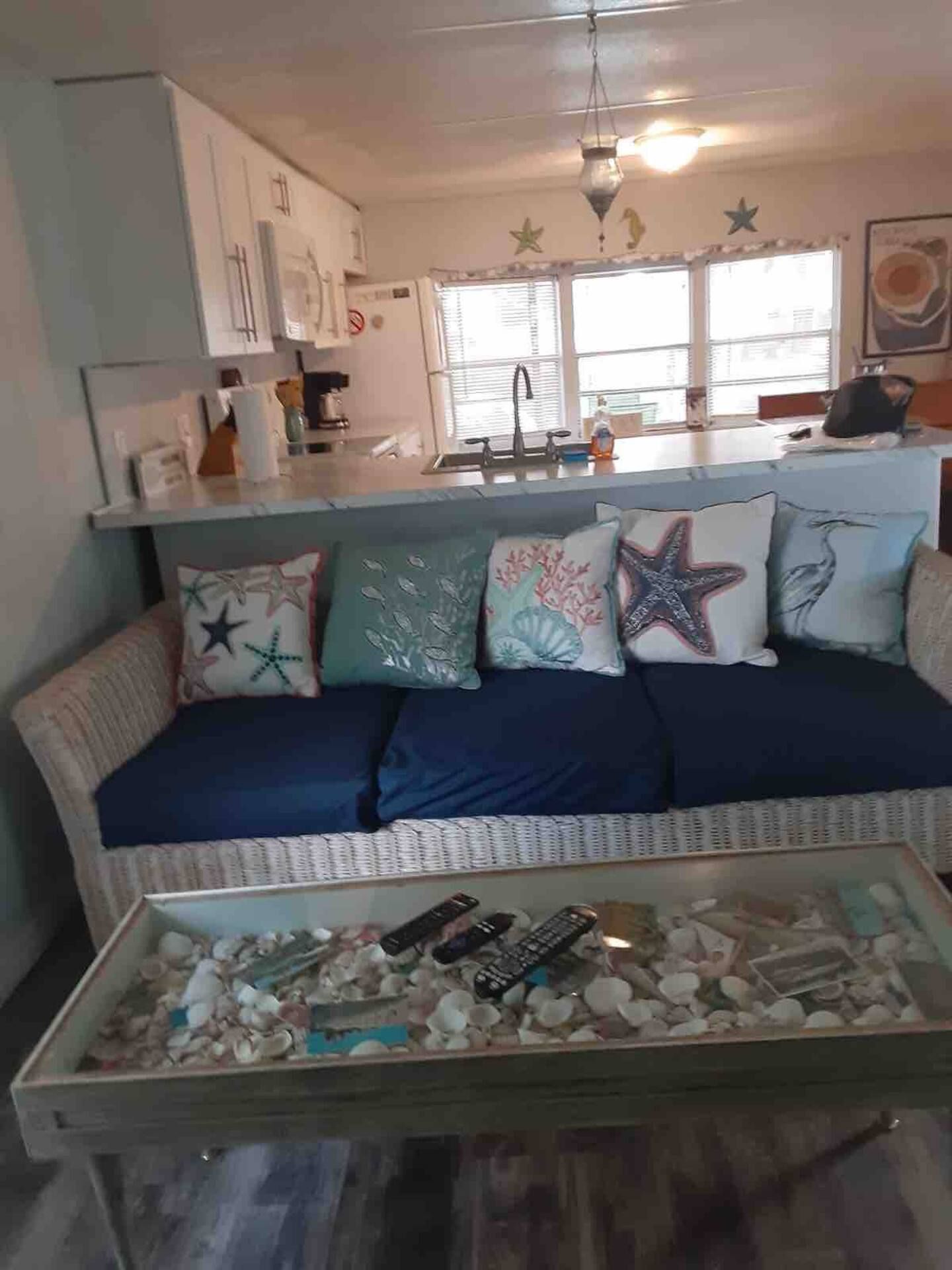 A living room with a couch and a coffee table with seashells on it.