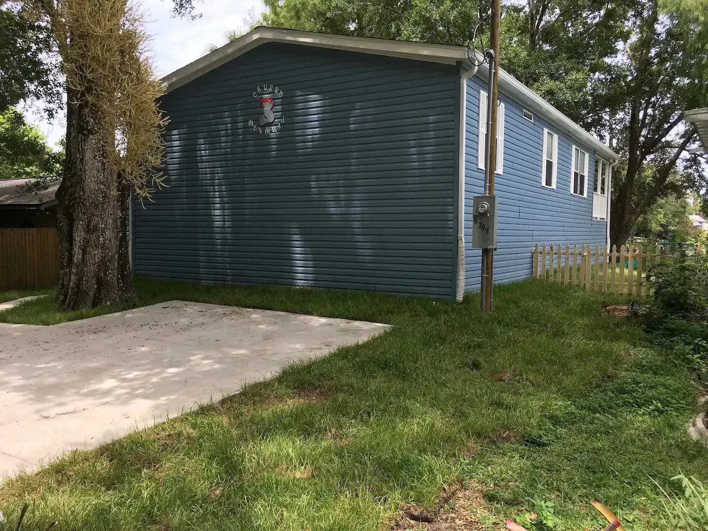 A blue house with a driveway and a tree in front of it.
