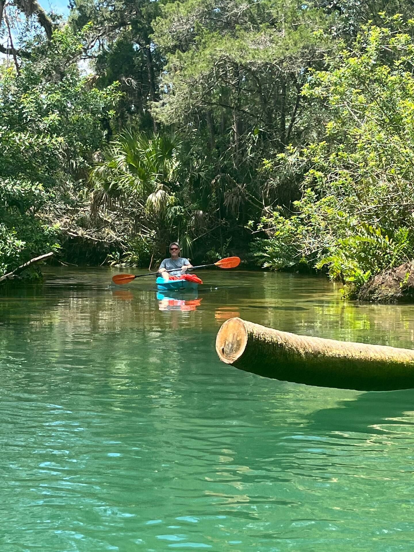 A man is paddling a kayak on a river next to a log.