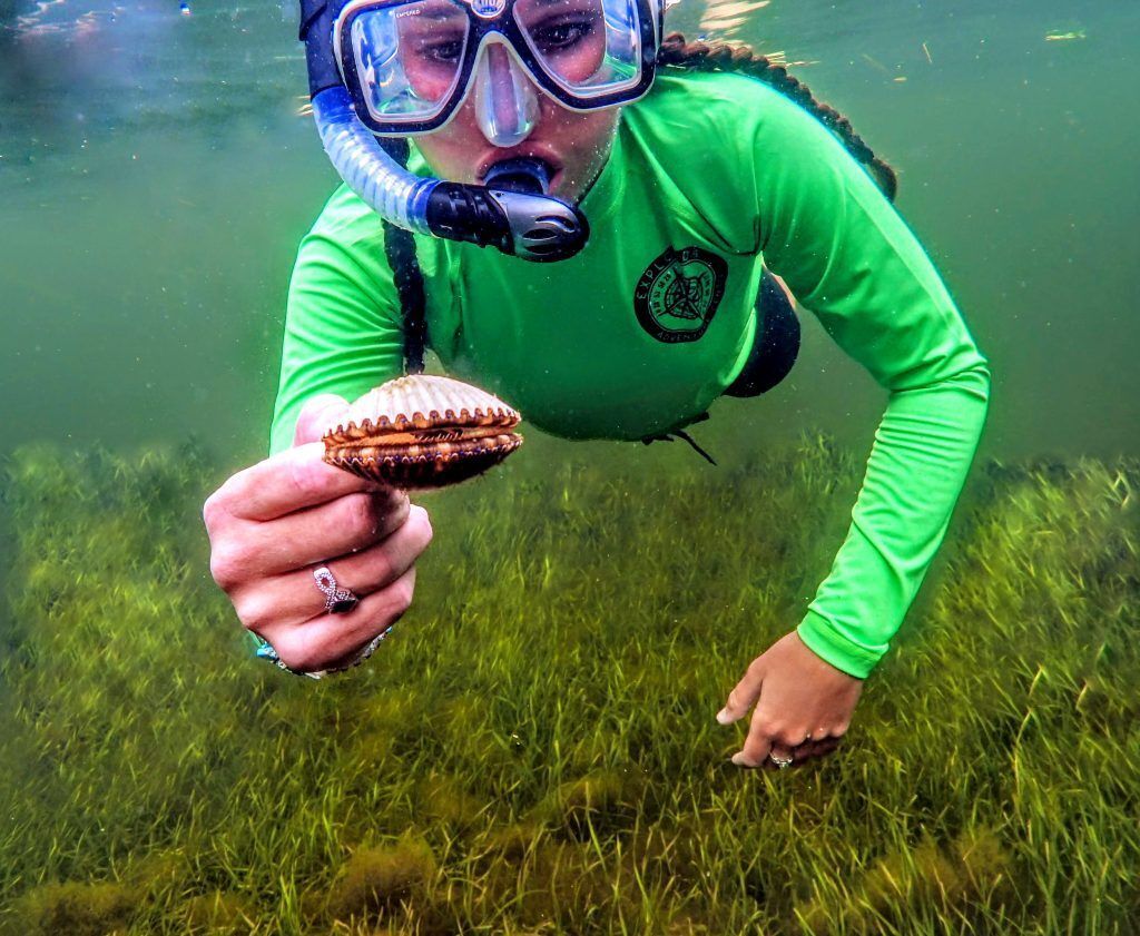 A woman in a green shirt is holding a sea shell underwater
