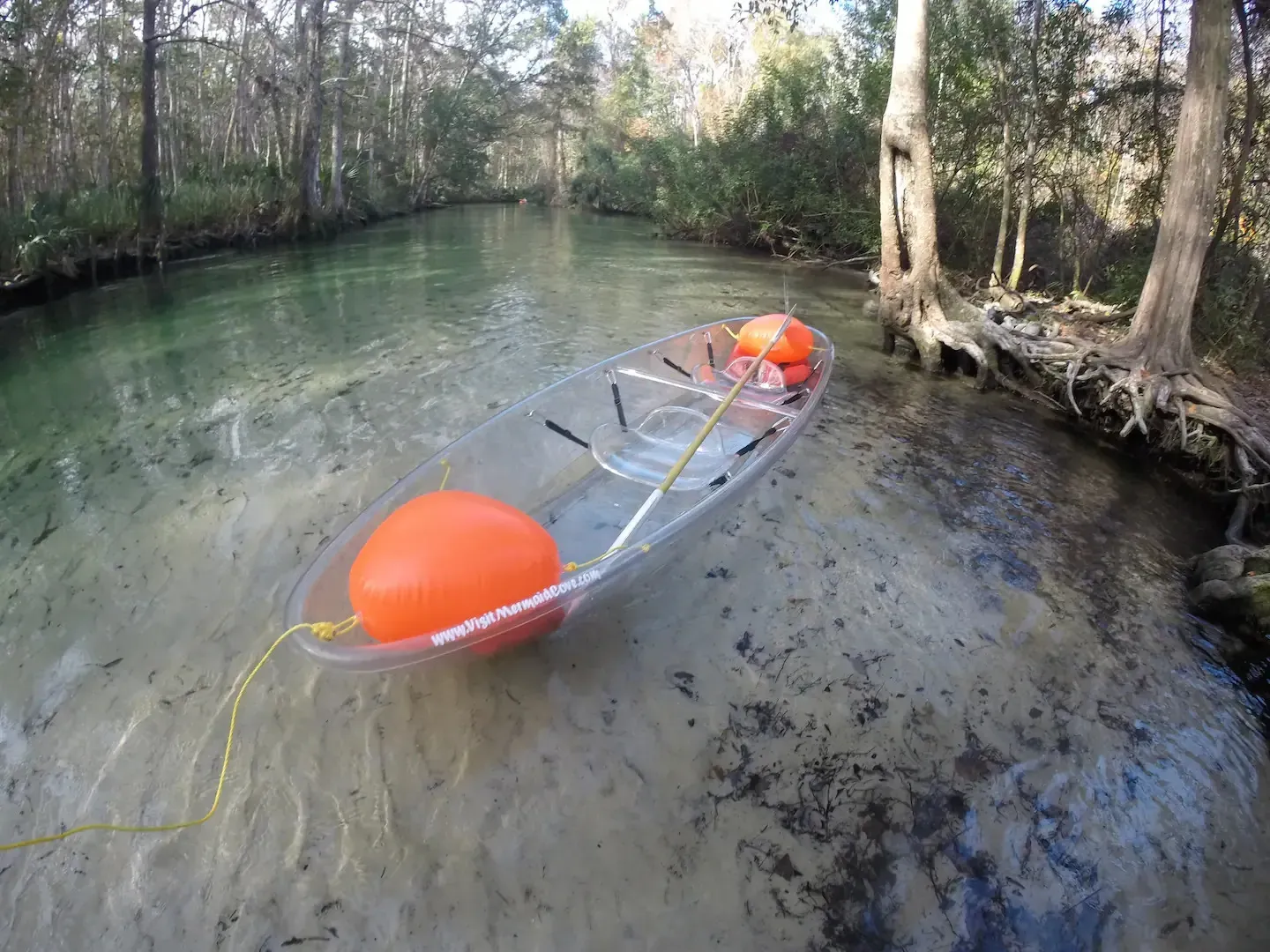 A clear kayak is tied to the shore of a river.