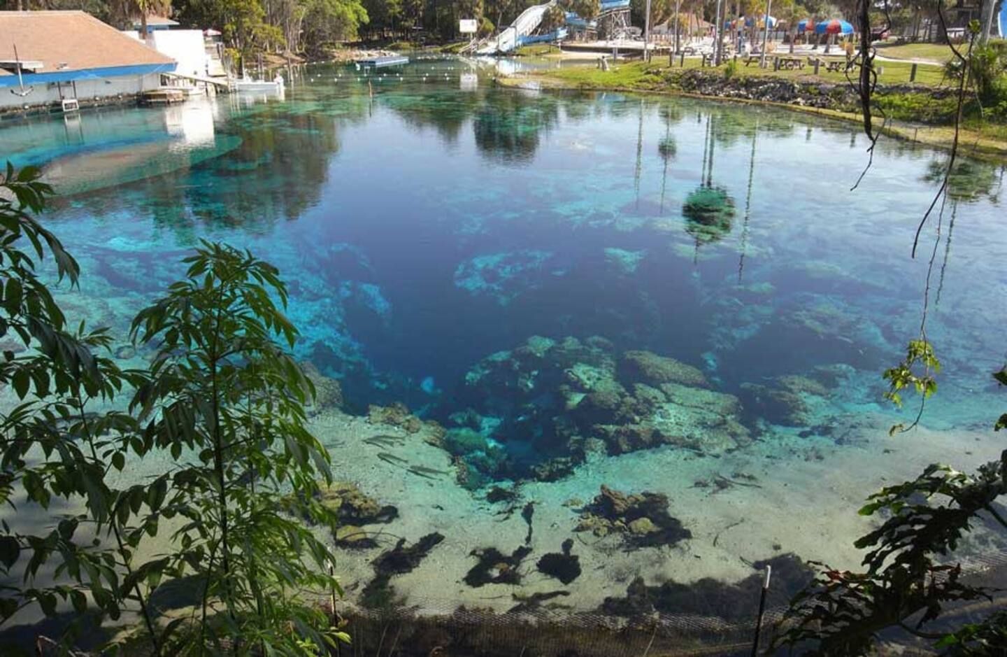 A large body of water surrounded by trees and buildings