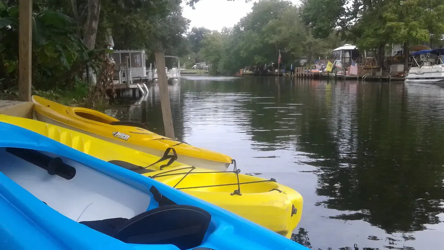 A row of kayaks are lined up on the shore of a river