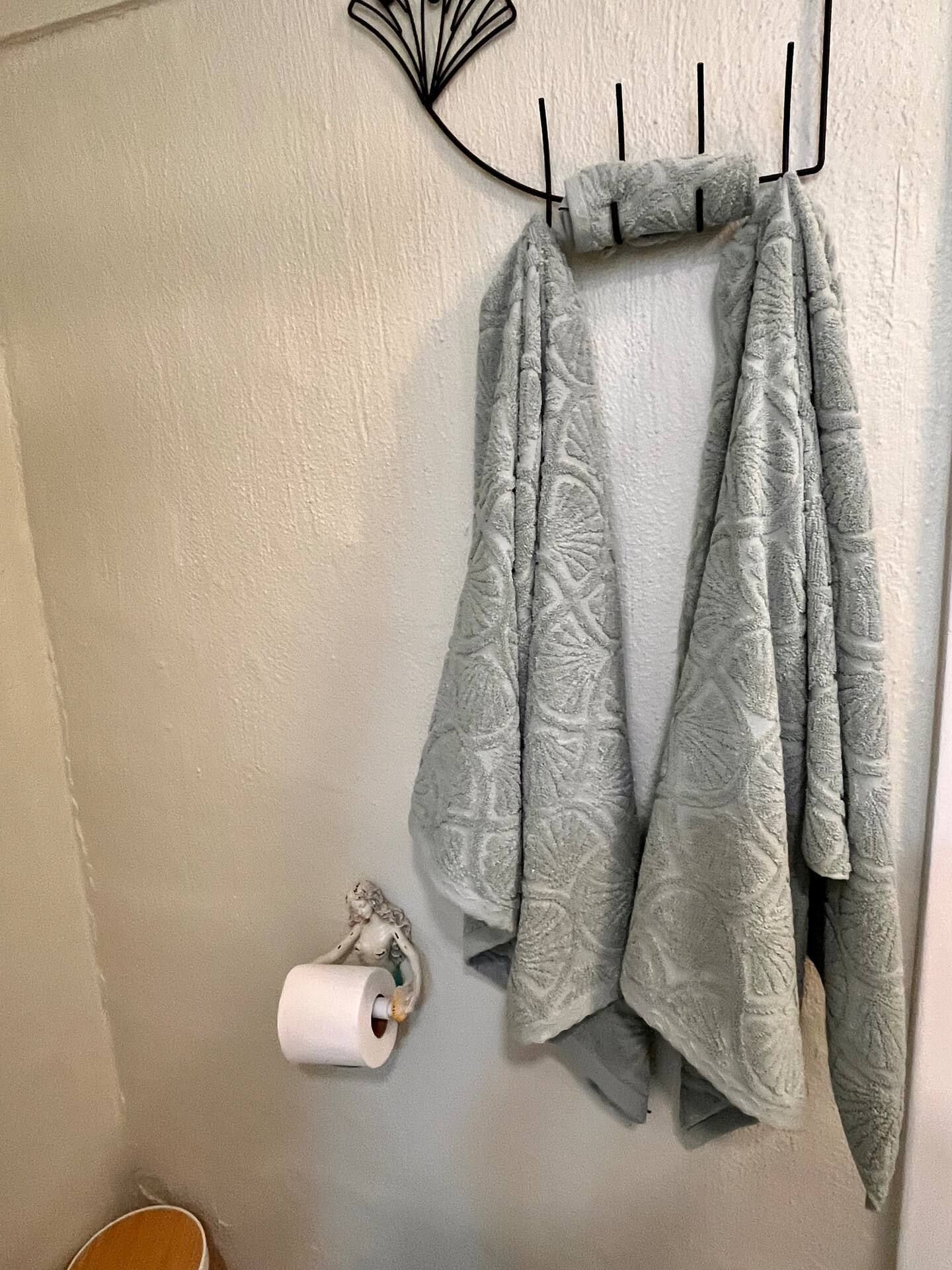 Two towels are hanging on a wall next to a toilet paper dispenser.