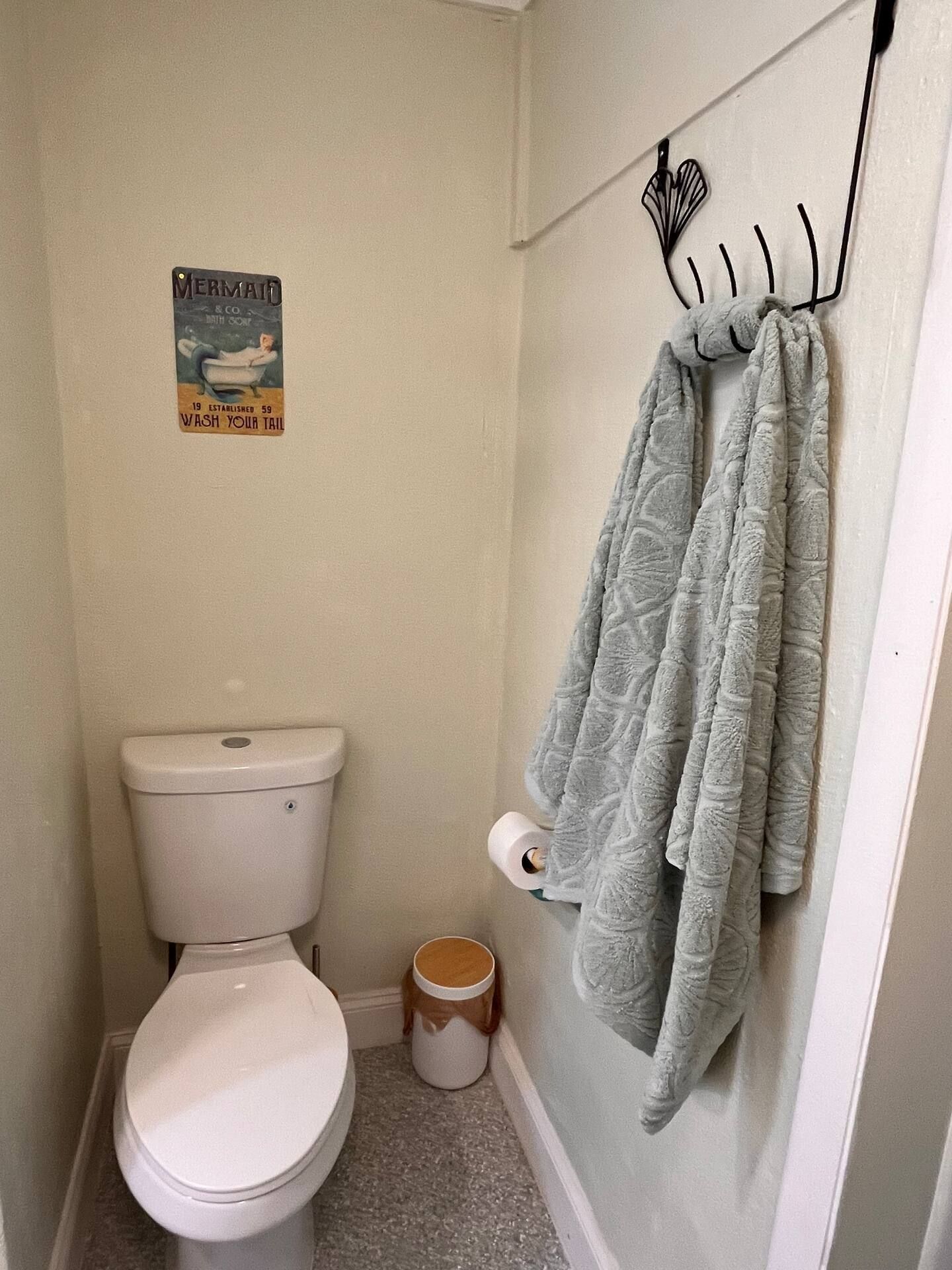 A bathroom with a toilet and a towel hanging on the wall.